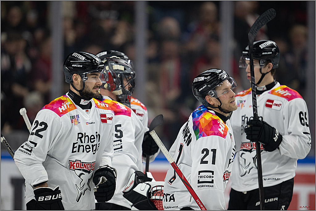 PENNY DEL 1; Kölner Haie - Grizzlys Wolfsburg; Köln, 10.01.2025