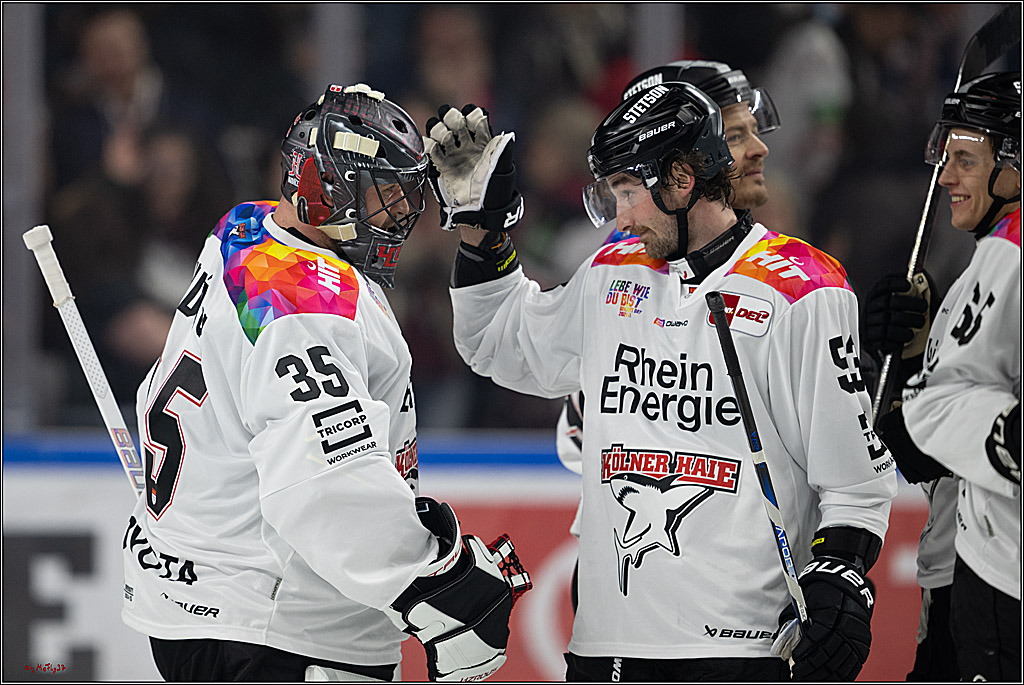 PENNY DEL 1; Kölner Haie - Grizzlys Wolfsburg; Köln, 10.01.2025