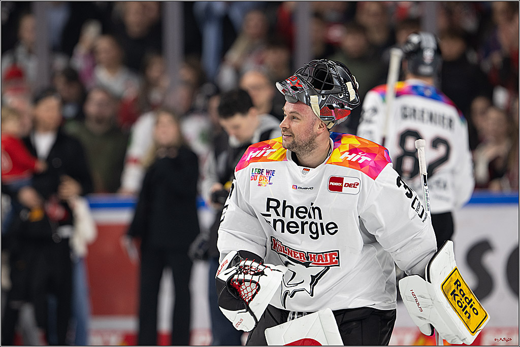 PENNY DEL 1; Kölner Haie - Grizzlys Wolfsburg; Köln, 10.01.2025