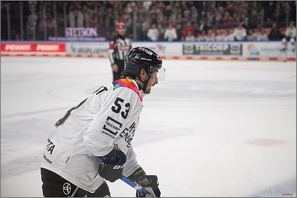 PENNY DEL 1; Kölner Haie - Grizzlys Wolfsburg; Köln, 10.01.2025