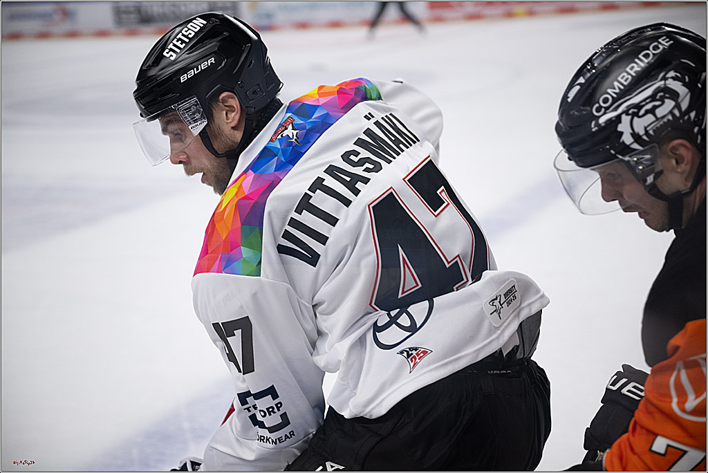 PENNY DEL 1; Kölner Haie - Grizzlys Wolfsburg; Köln, 10.01.2025