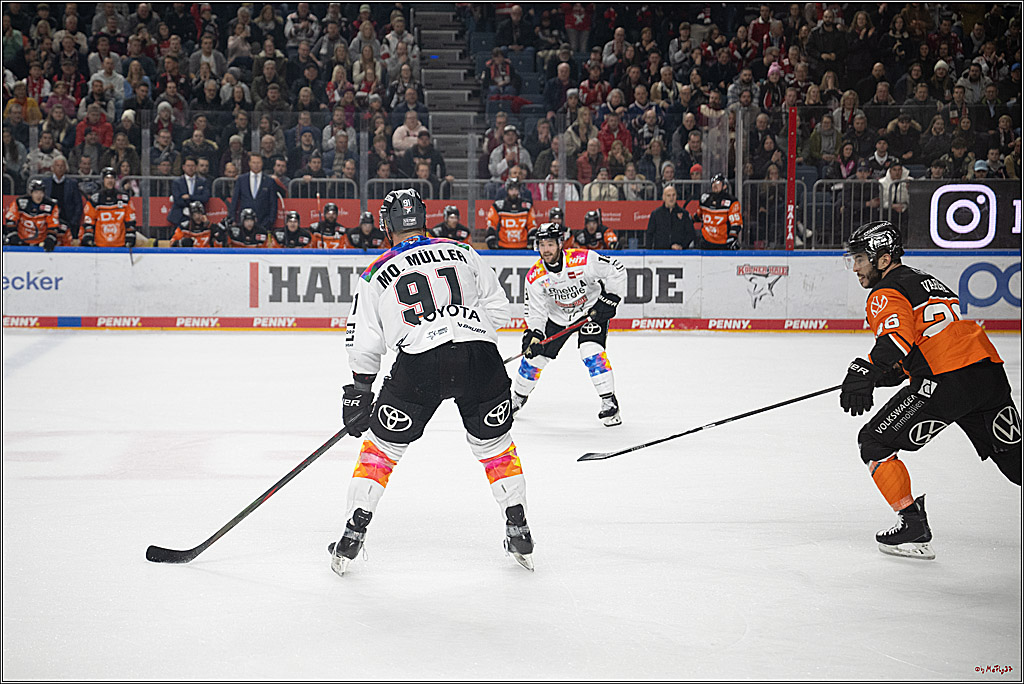 PENNY DEL 1; Kölner Haie - Grizzlys Wolfsburg; Köln, 10.01.2025