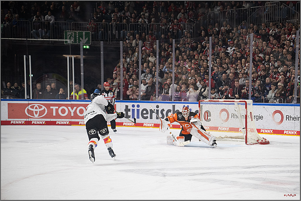 PENNY DEL 1; Kölner Haie - Grizzlys Wolfsburg; Köln, 10.01.2025