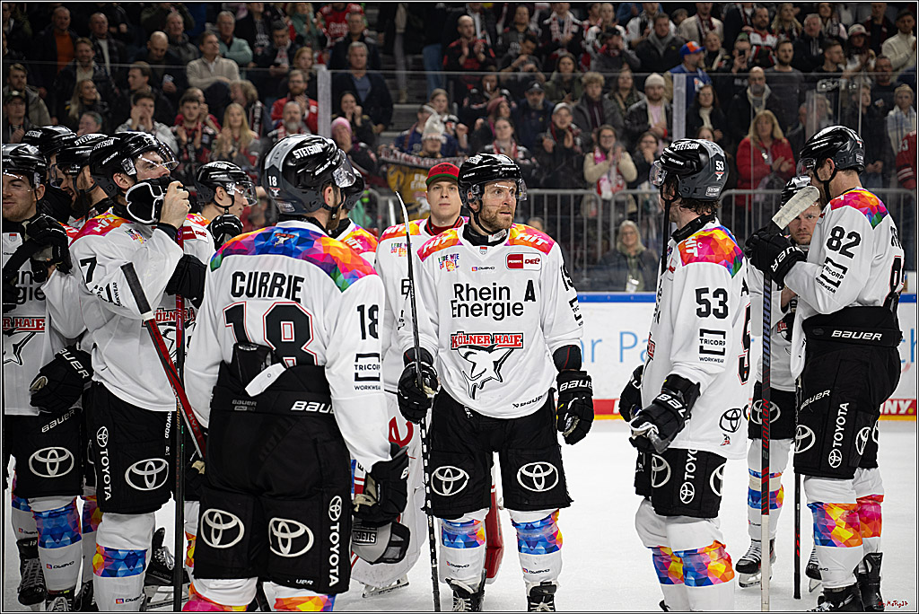 PENNY DEL 1; Kölner Haie - Grizzlys Wolfsburg; Köln, 10.01.2025