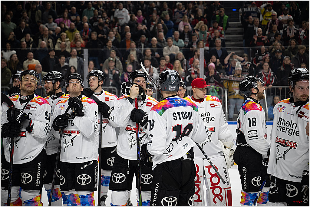 PENNY DEL 1; Kölner Haie - Grizzlys Wolfsburg; Köln, 10.01.2025