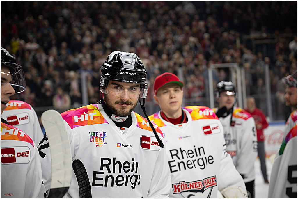 PENNY DEL 1; Kölner Haie - Grizzlys Wolfsburg; Köln, 10.01.2025