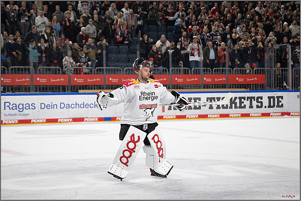 PENNY DEL 1; Kölner Haie - Grizzlys Wolfsburg; Köln, 10.01.2025