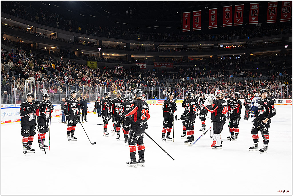 PENNY DEL 1; Kölner Haie - Iserlohn Roosters; Köln, 19.01.2025