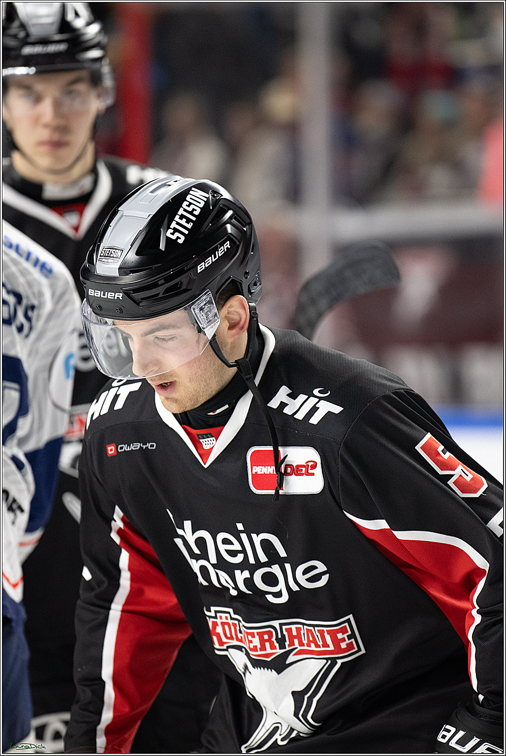 PENNY DEL; Koelner Haie- Iserlohn Roosters; Koeln, 19.01.2025