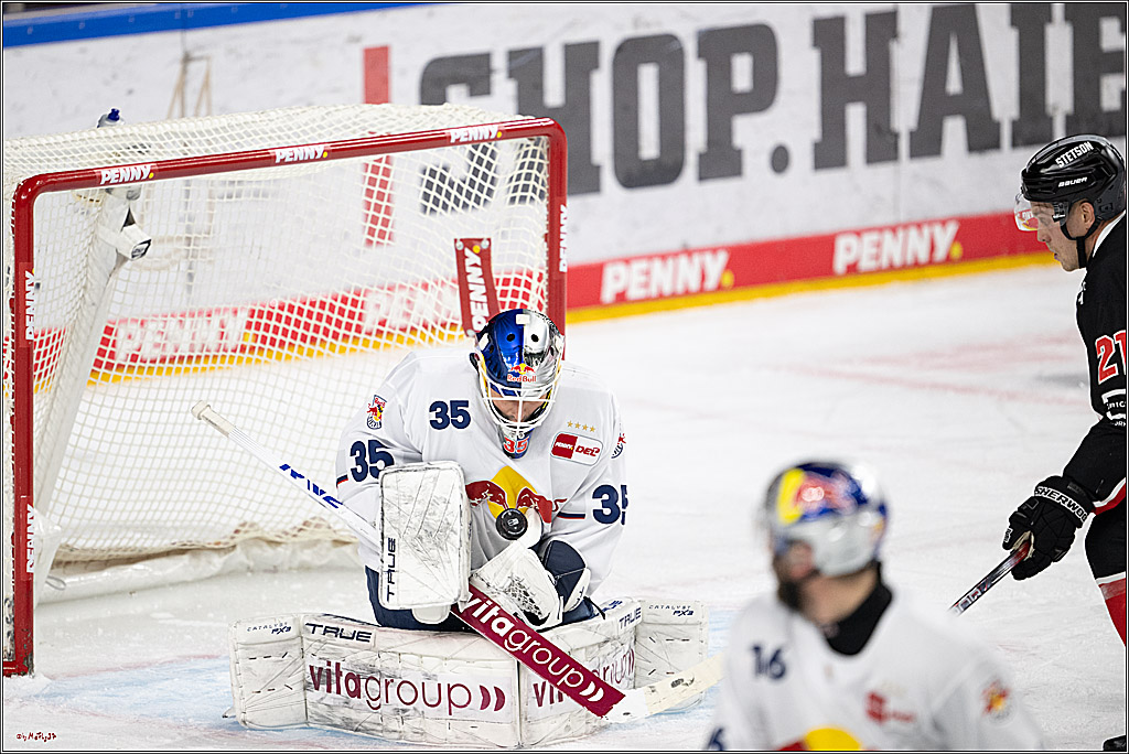 PENNY DEL 1; Kölner Haie - EHC Red Bull München; Köln, 28.01.2025