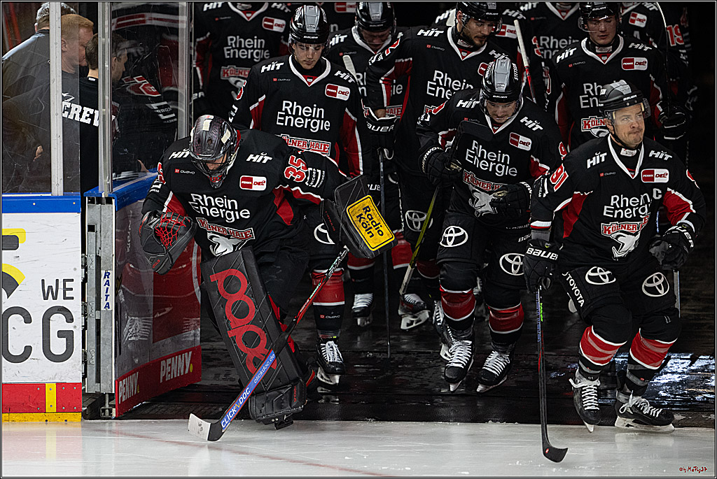 PENNY DEL 1; Kölner Haie - EHC Red Bull München; Köln, 28.01.2025