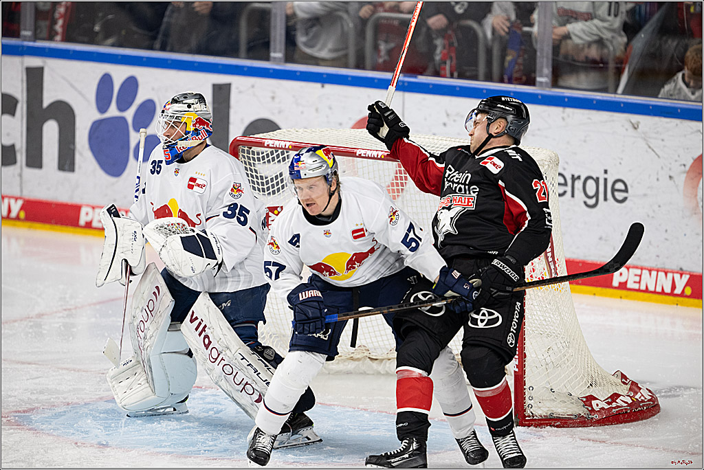 PENNY DEL 1; Kölner Haie - EHC Red Bull München; Köln, 28.01.2025
