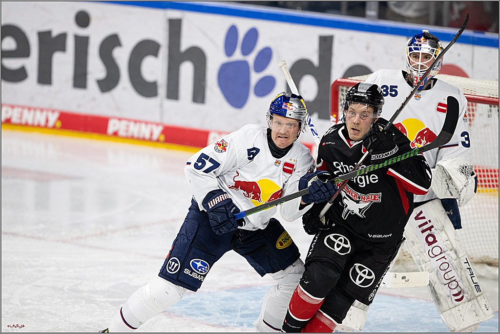 PENNY DEL 1; Kölner Haie - EHC Red Bull München; Köln, 28.01.2025