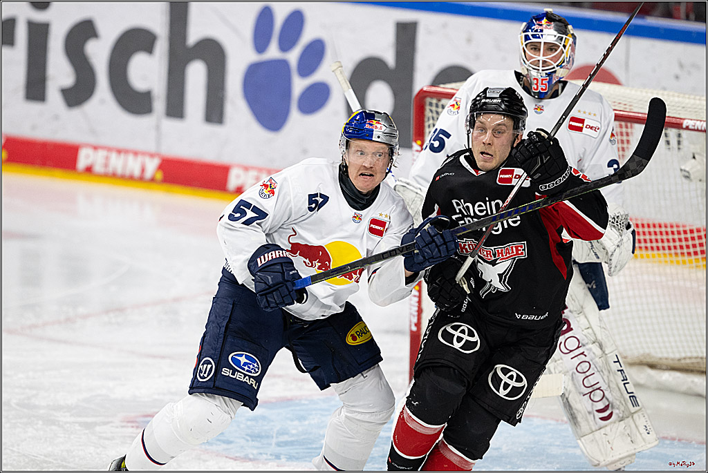 PENNY DEL 1; Kölner Haie - EHC Red Bull München; Köln, 28.01.2025