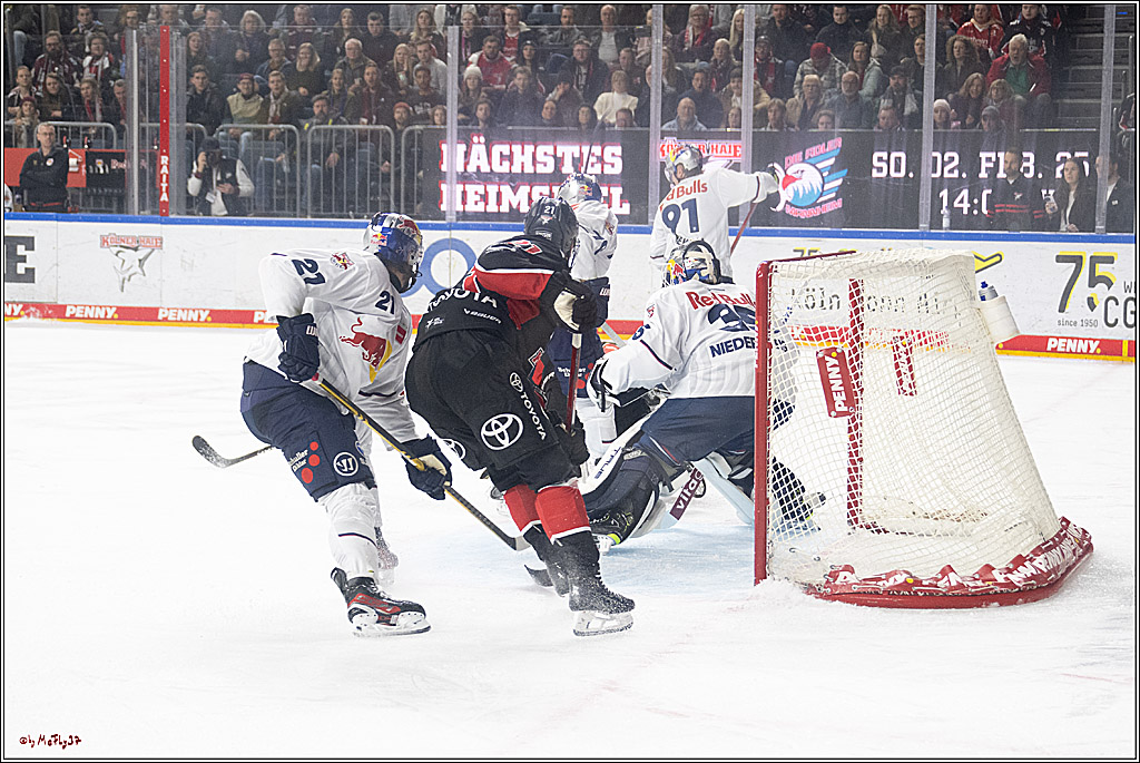 PENNY DEL 1; Kölner Haie - EHC Red Bull München; Köln, 28.01.2025