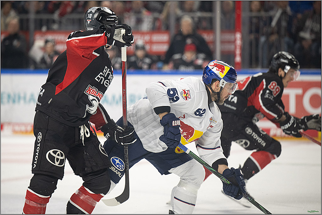 PENNY DEL; Koelner Haie-EHC Red Bull Muenchen; Koeln, 28.01.2025