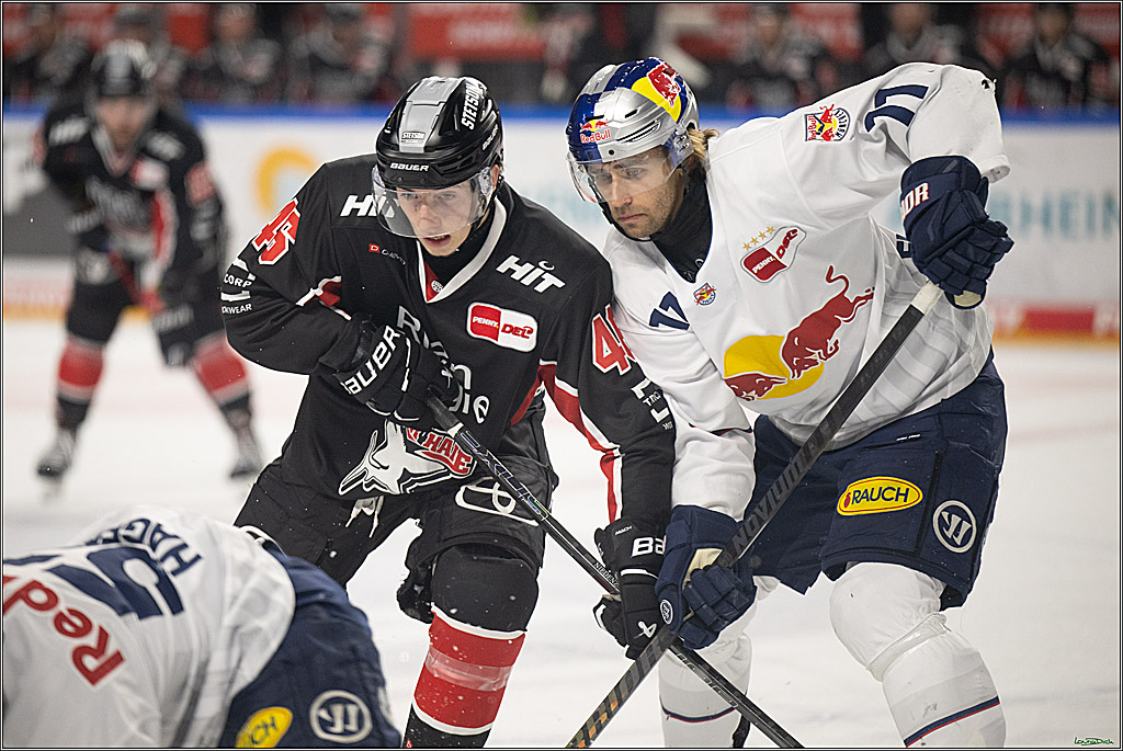 PENNY DEL; Koelner Haie-EHC Red Bull Muenchen; Koeln, 28.01.2025