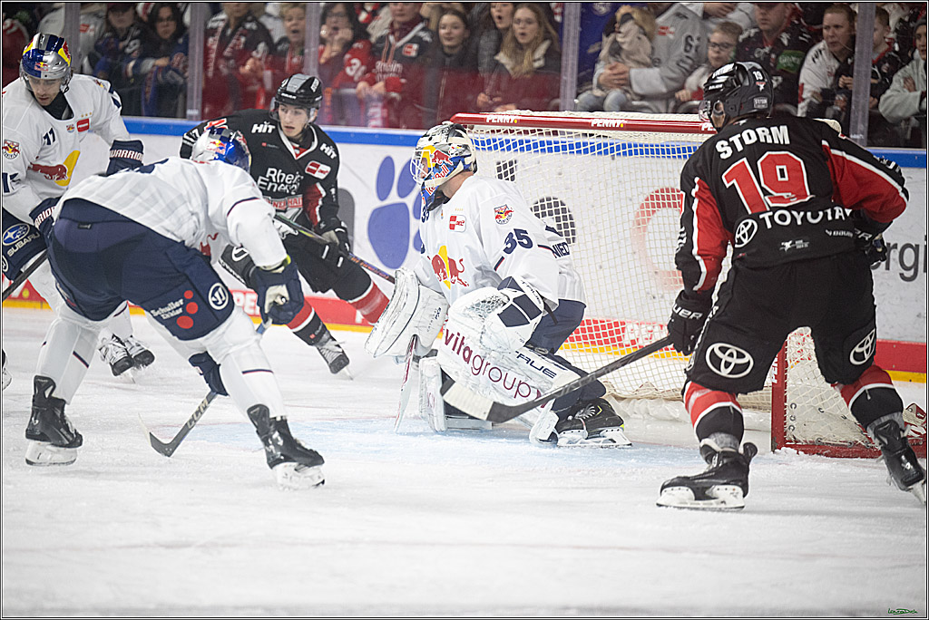 PENNY DEL; Koelner Haie-EHC Red Bull Muenchen; Koeln, 28.01.2025