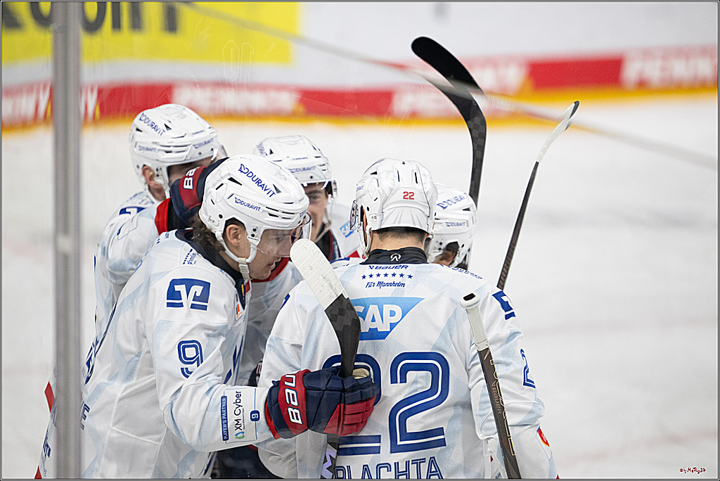 PENNY DEL 1; Kölner Haie - Adler Mannheim; Köln, 02.02.2025