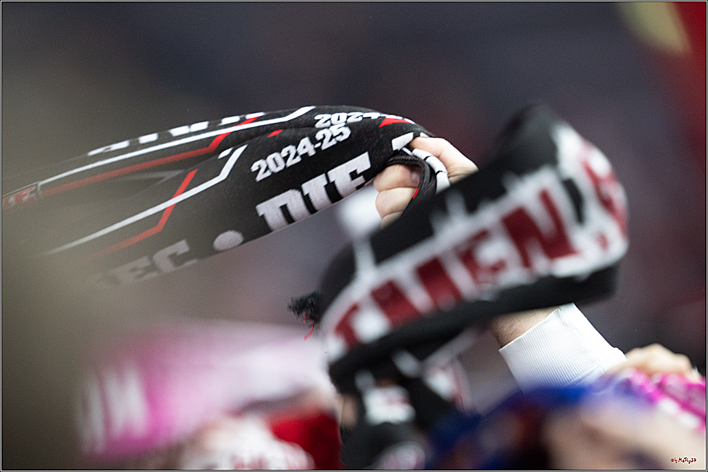 PENNY DEL 1; Kölner Haie - Adler Mannheim; Köln, 02.02.2025