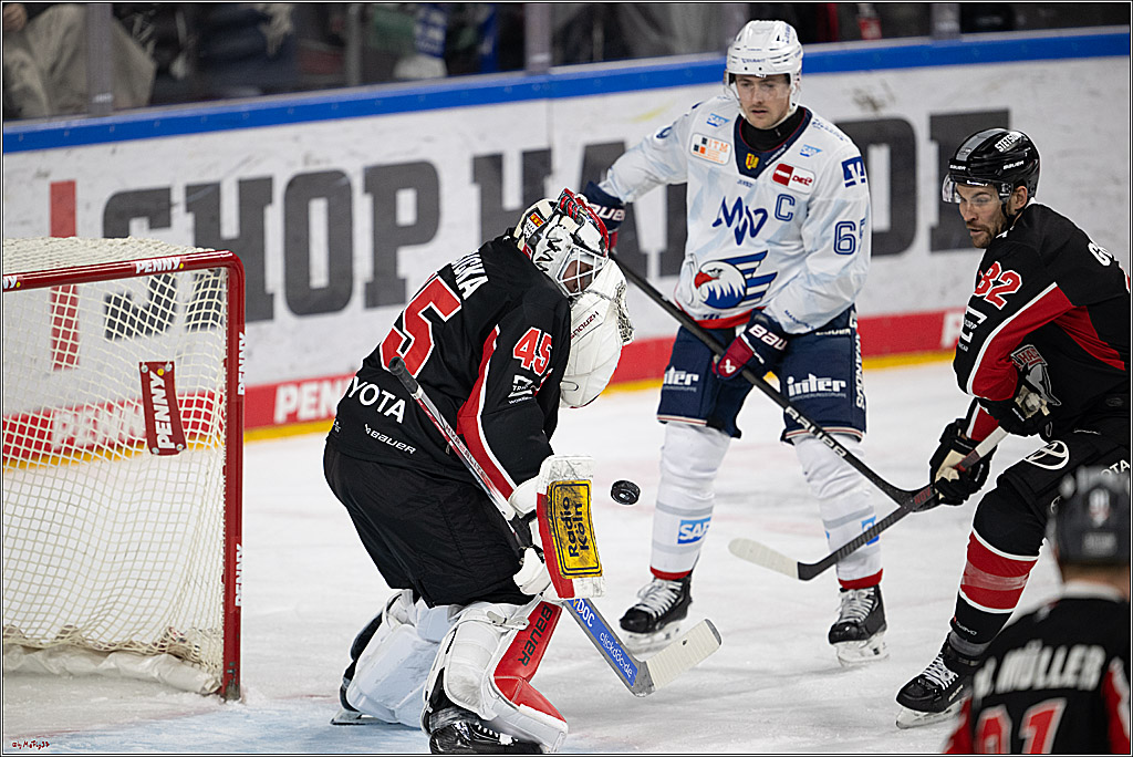 PENNY DEL 1; Kölner Haie - Adler Mannheim; Köln, 02.02.2025