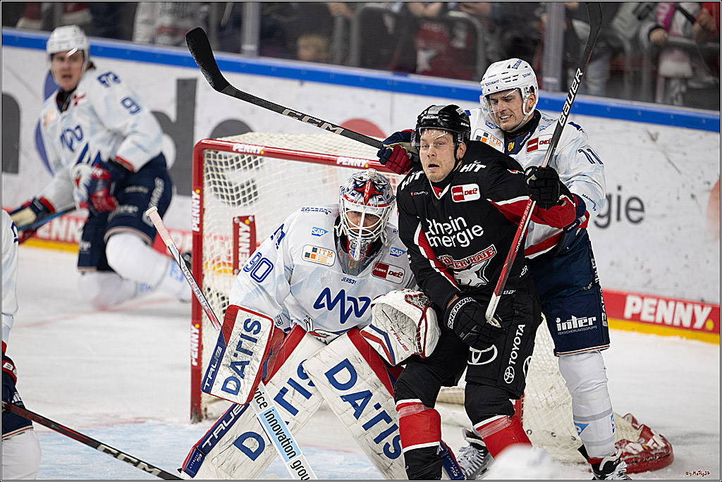 PENNY DEL 1; Kölner Haie - Adler Mannheim; Köln, 02.02.2025