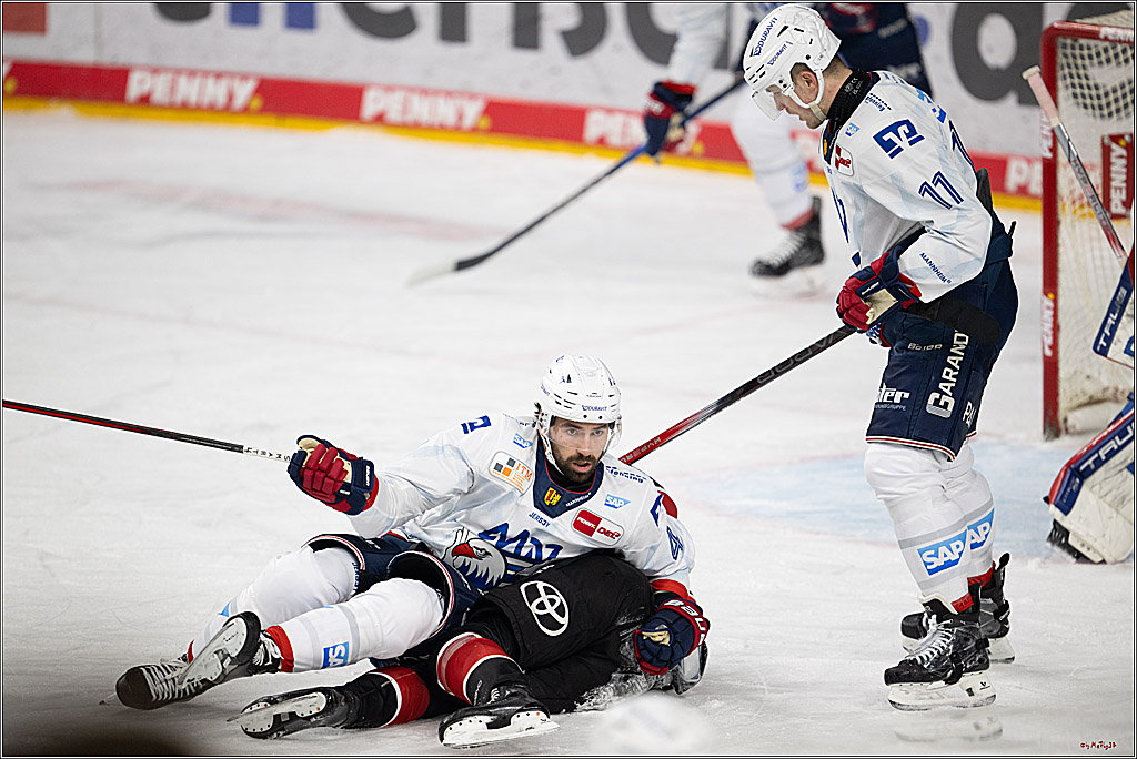 PENNY DEL 1; Kölner Haie - Adler Mannheim; Köln, 02.02.2025