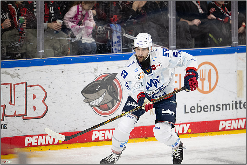 PENNY DEL 1; Kölner Haie - Adler Mannheim; Köln, 02.02.2025