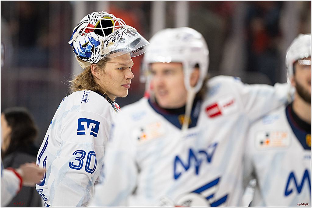 PENNY DEL 1; Kölner Haie - Adler Mannheim; Köln, 02.02.2025