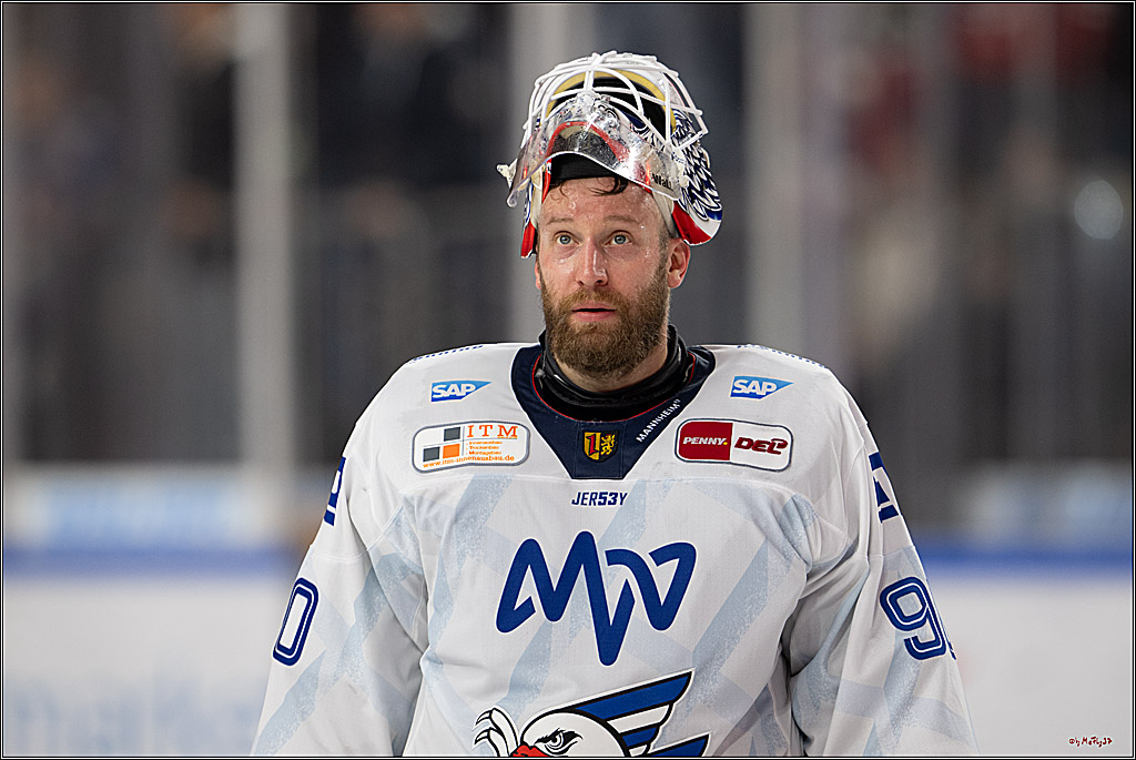 PENNY DEL 1; Kölner Haie - Adler Mannheim; Köln, 02.02.2025