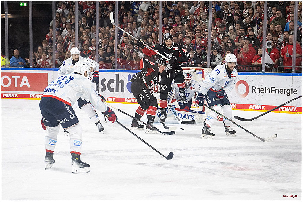 PENNY DEL 1; Kölner Haie - Adler Mannheim; Köln, 02.02.2025