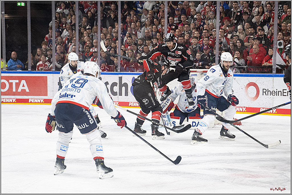PENNY DEL 1; Kölner Haie - Adler Mannheim; Köln, 02.02.2025
