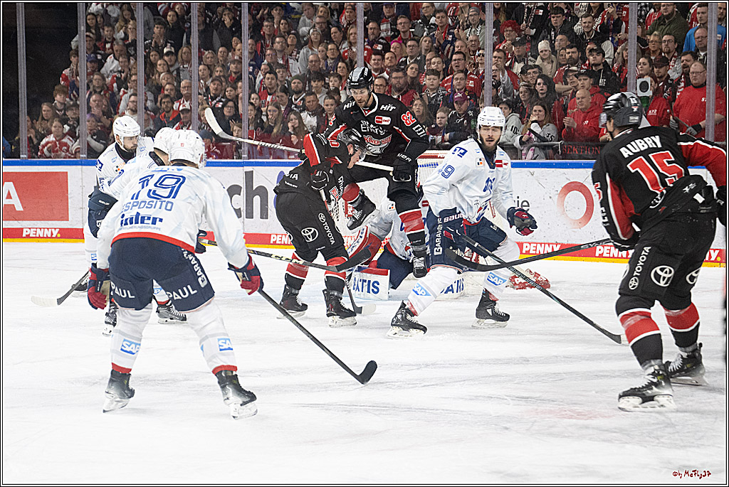 PENNY DEL 1; Kölner Haie - Adler Mannheim; Köln, 02.02.2025