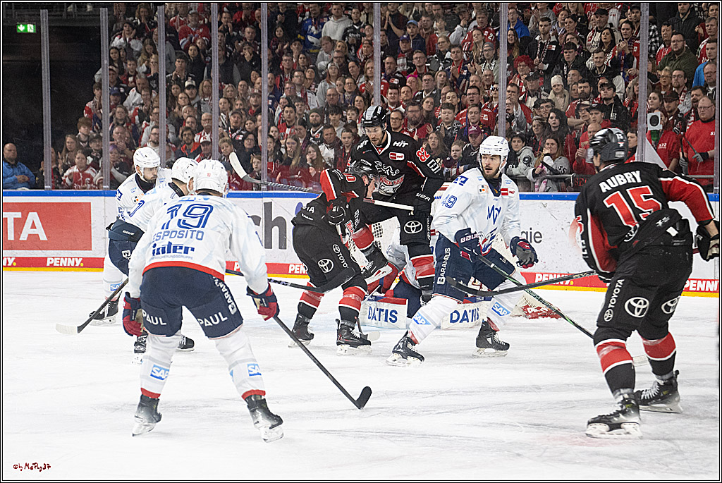 PENNY DEL 1; Kölner Haie - Adler Mannheim; Köln, 02.02.2025