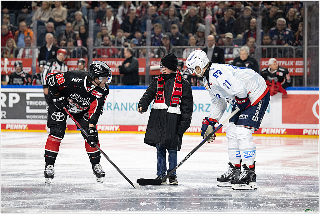 PENNY DEL; Koelner Haie-Adler Mannheim; Koeln, 02.02.2025