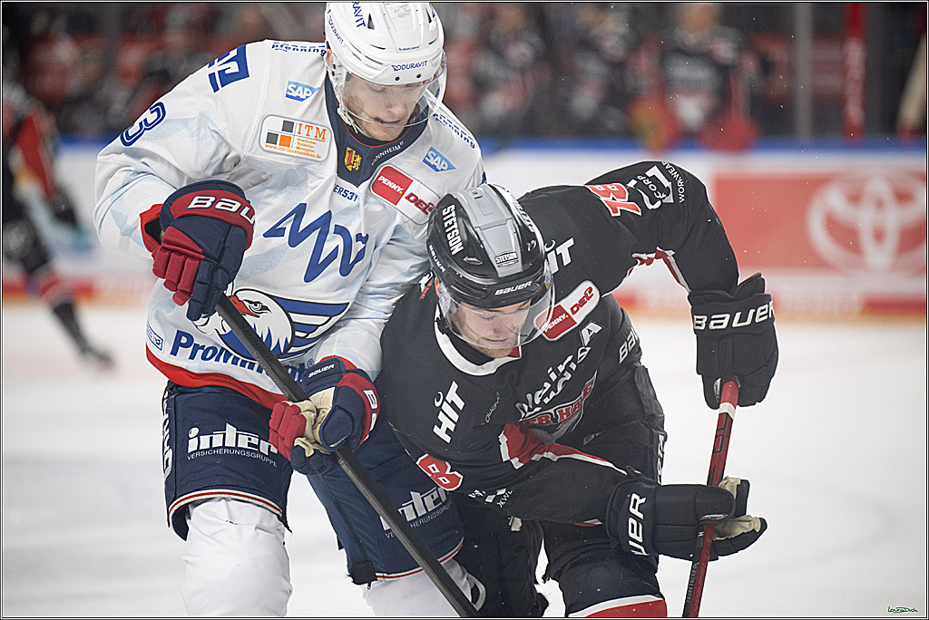 PENNY DEL; Koelner Haie-Adler Mannheim; Koeln, 02.02.2025
