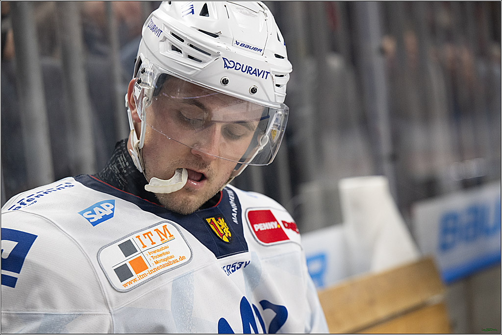 PENNY DEL; Koelner Haie-Adler Mannheim; Koeln, 02.02.2025