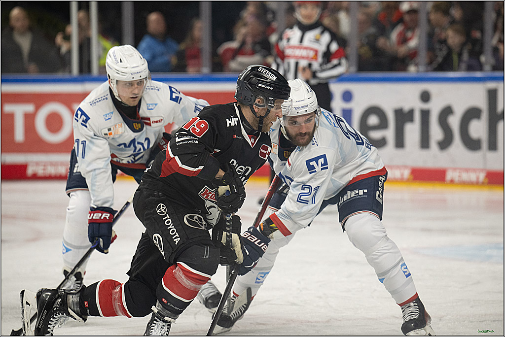 PENNY DEL; Koelner Haie-Adler Mannheim; Koeln, 02.02.2025