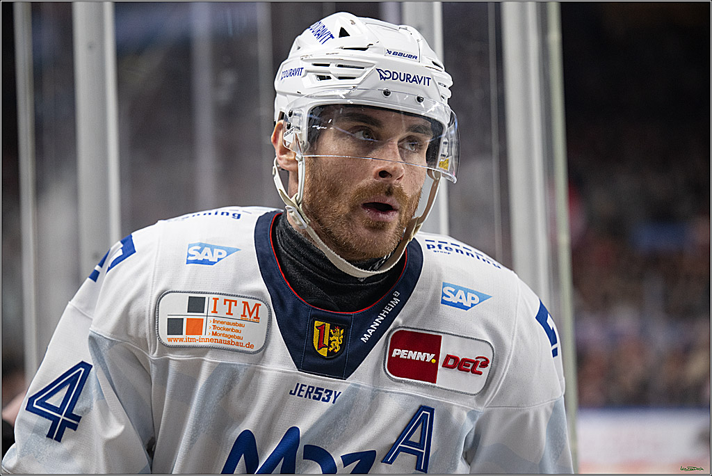 PENNY DEL; Koelner Haie-Adler Mannheim; Koeln, 02.02.2025