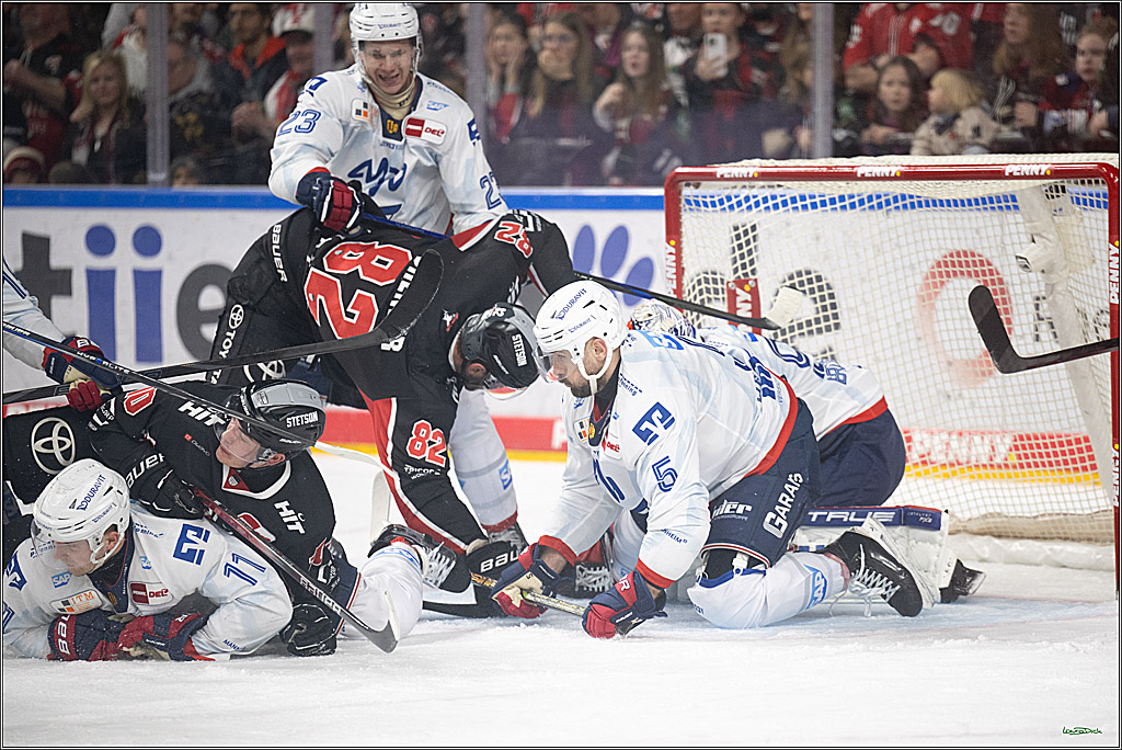 PENNY DEL; Koelner Haie-Adler Mannheim; Koeln, 02.02.2025
