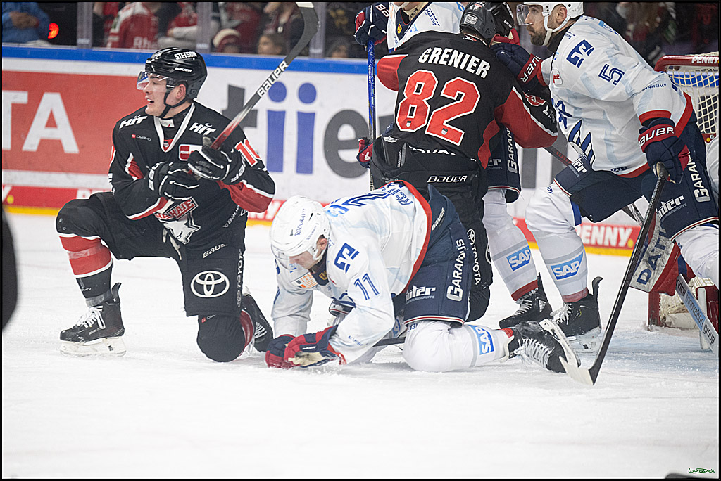 PENNY DEL; Koelner Haie-Adler Mannheim; Koeln, 02.02.2025