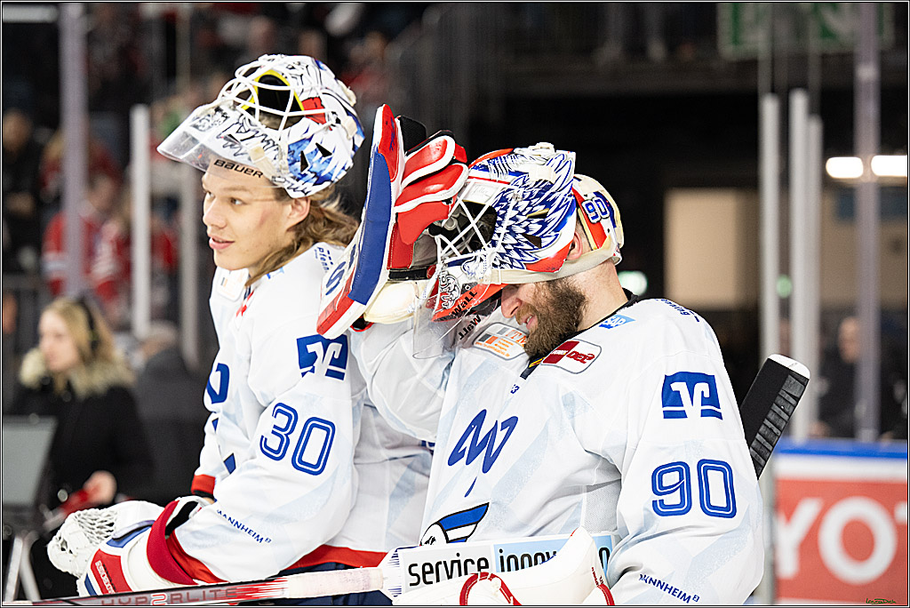 PENNY DEL; Koelner Haie-Adler Mannheim; Koeln, 02.02.2025