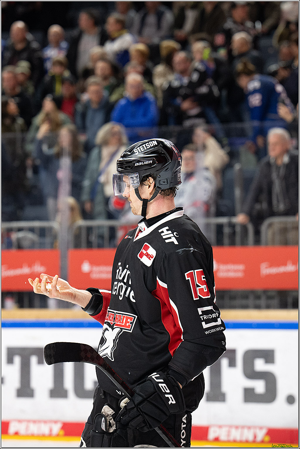PENNY DEL; Koelner Haie-Adler Mannheim; Koeln, 02.02.2025