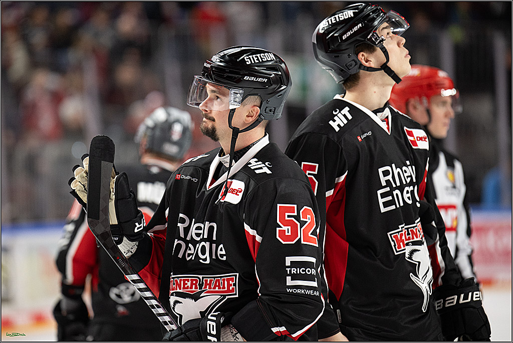 PENNY DEL; Koelner Haie-Adler Mannheim; Koeln, 02.02.2025