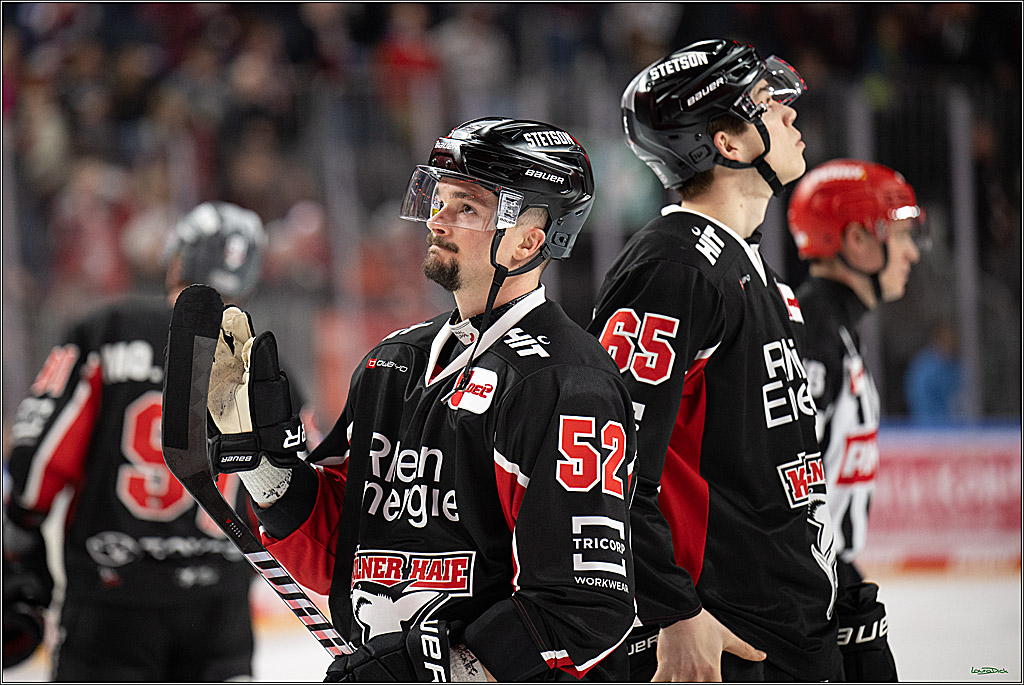PENNY DEL; Koelner Haie-Adler Mannheim; Koeln, 02.02.2025