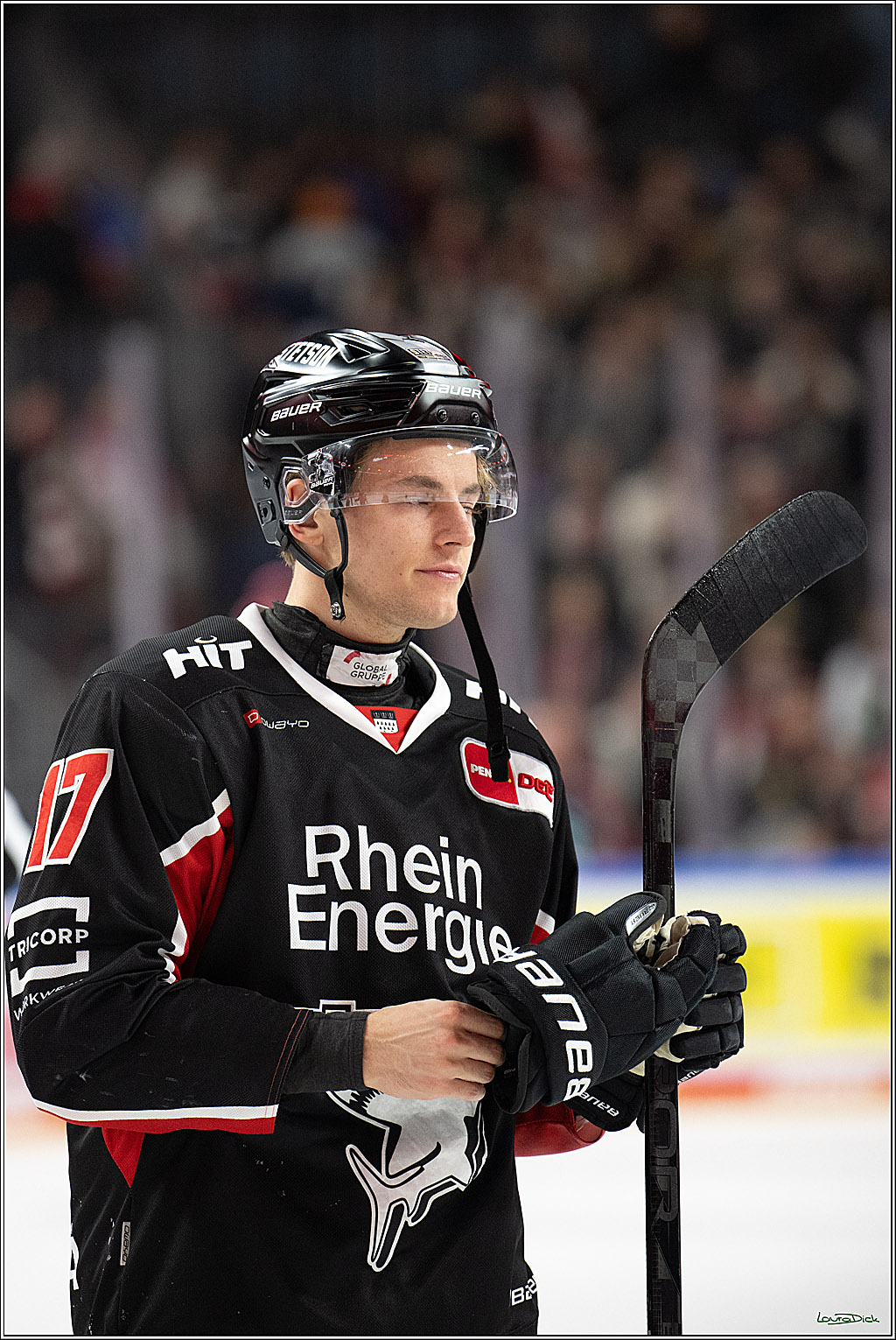 PENNY DEL; Koelner Haie-Adler Mannheim; Koeln, 02.02.2025