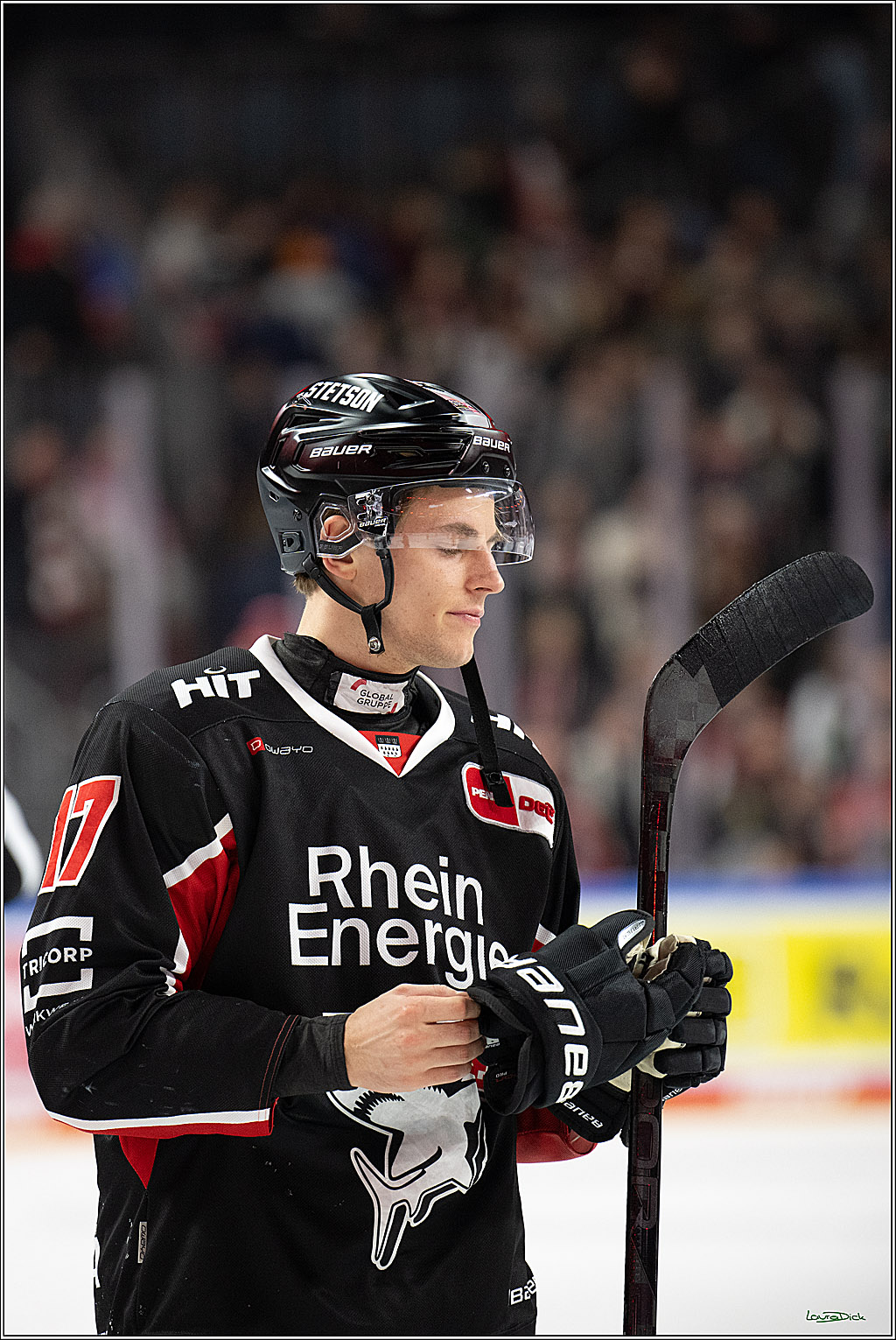PENNY DEL; Koelner Haie-Adler Mannheim; Koeln, 02.02.2025