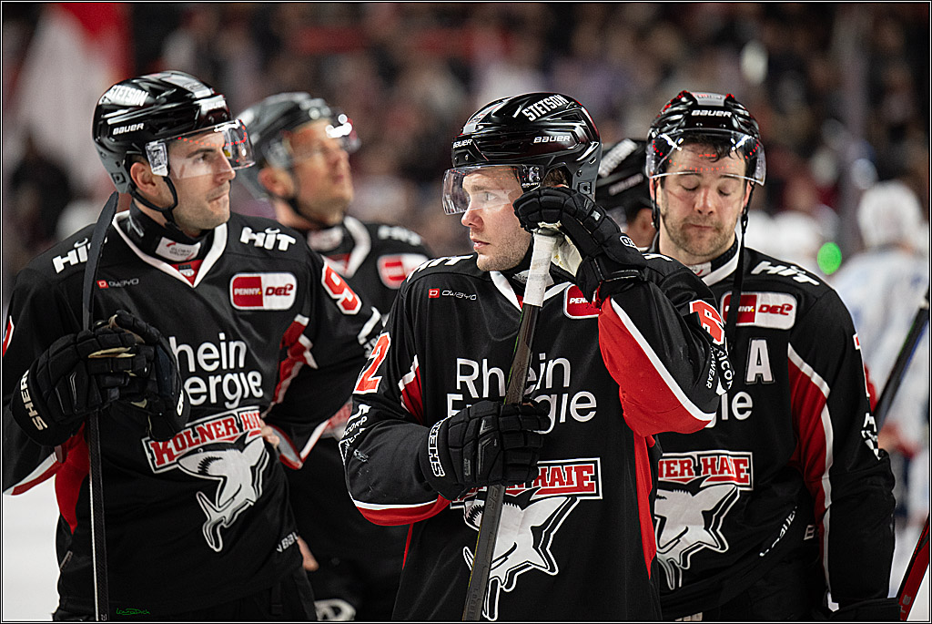 PENNY DEL; Koelner Haie-Adler Mannheim; Koeln, 02.02.2025