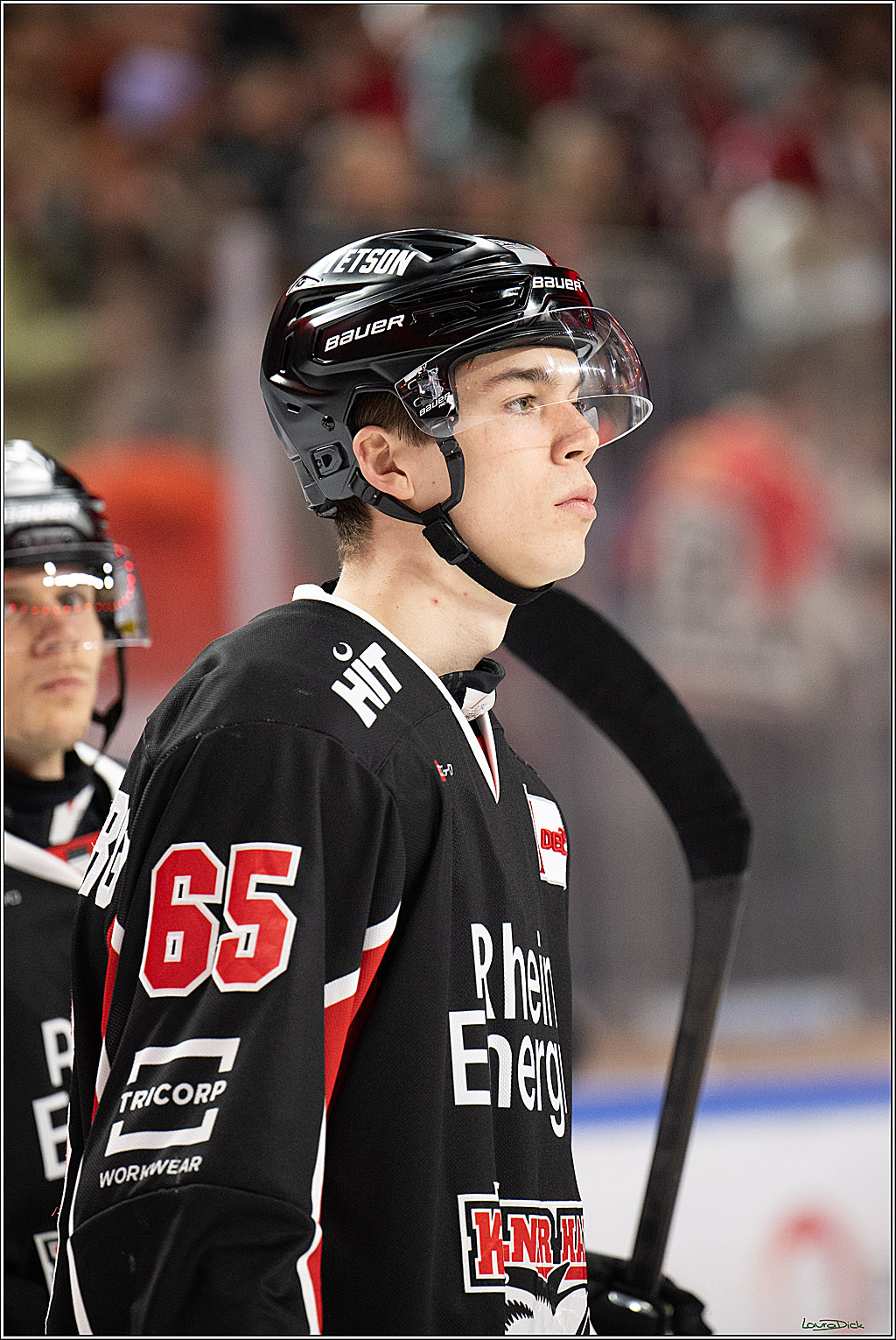 PENNY DEL; Koelner Haie-Adler Mannheim; Koeln, 02.02.2025