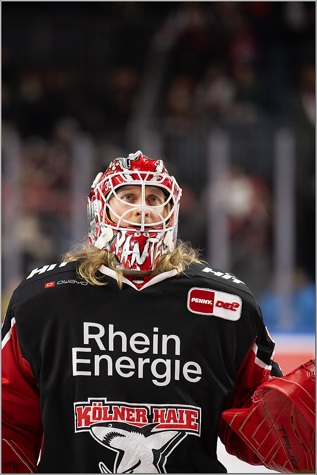PENNY DEL; Koelner Haie-Adler Mannheim; Koeln, 02.02.2025